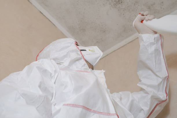 Best Crawl Space Mold Removal  in Ronkonkoma, NY